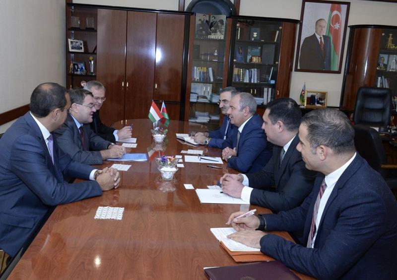 Macarıstan ölkəmizdə İT sahəsinə investisiya qoyuluşuna maraqlıdır