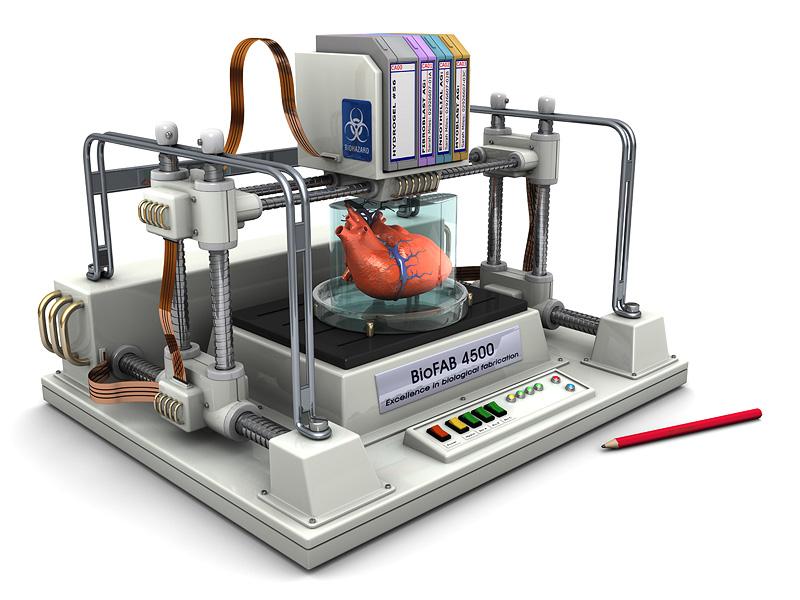 3D bioprinter vasitəsilə işlək daxili orqan çap edilib 