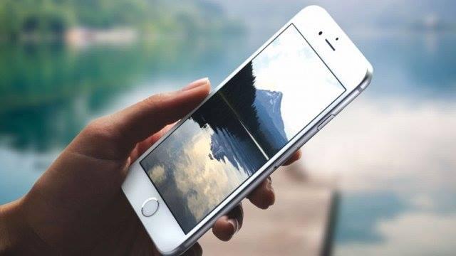 Azexport-dan  yeni mobil tətbiq 