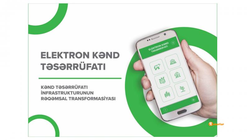 Subsidiyaların verilməsi artıq elektron qaydada olacaq