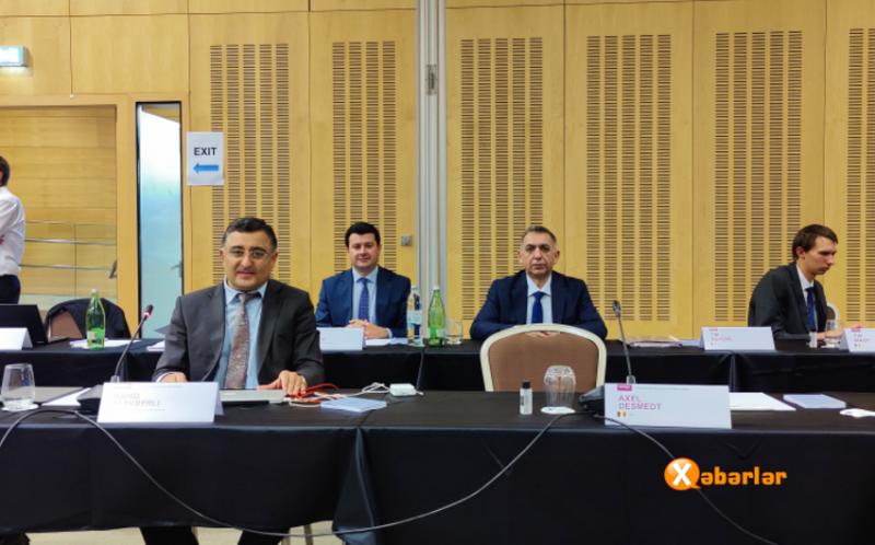 Azərbaycan ilə Aİ arasında rouminq tariflərinin azaldılması müzakirə olunub