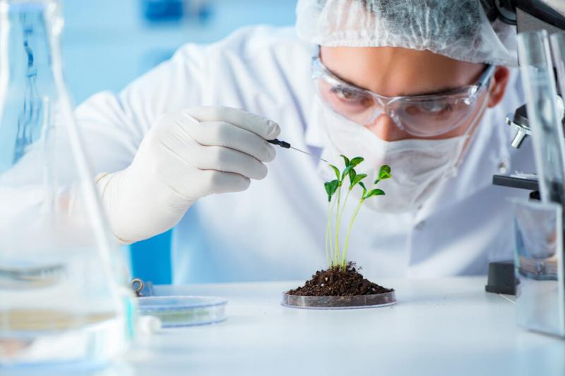 Biotexnologiya məhsulları istehsalına 440 min güzəştli kredit ayırıldı