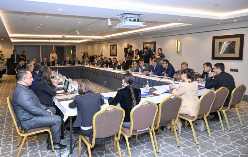 Azərbaycanda Beyin Mərkəzləri Platformasının və onun internet portalının təqdimatı keçirilir