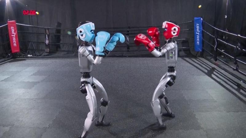 Çində insanabənzər robotların boks yarışı keçirilib