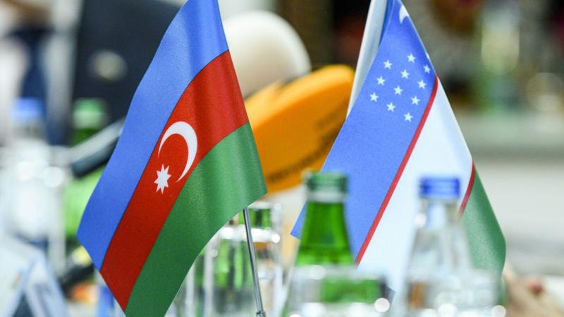 Azərbaycan Özbəkistanda kosmik sənayenin inkişaf planlarını təqdim edəcək