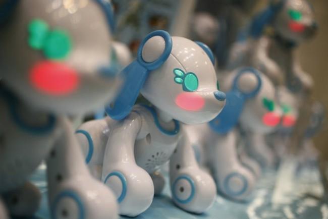 Ev heyvanlarını robotlar əvəz edəcək