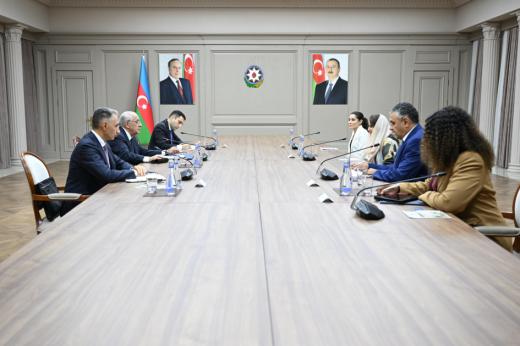 Baş nazir Rəqəmsal Əməkdaşlıq Təşkilatının Baş katibi ilə görüşüb