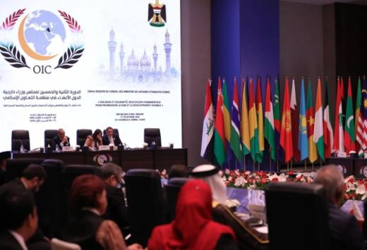 İƏT çərçivəsində Kibertəhlükəsizlik üzrə Nazirlər Şurası yaradılıb