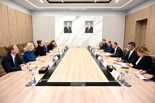 Rəşad Nəbiyev ABŞ Beynəlxalq İnkişaf Maliyyə Korporasiyasının baş siyasət direktorunu qəbul edib