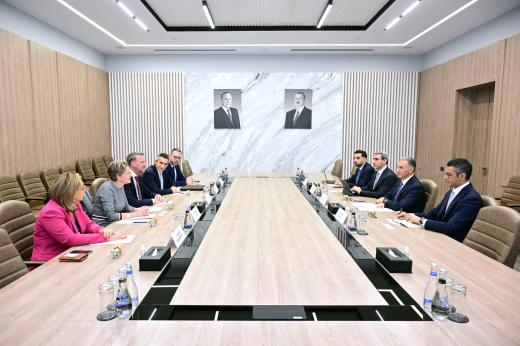 Nazir “C. Steinweg Group” şirkətinin baş icraçı direktoru ilə görüşüb